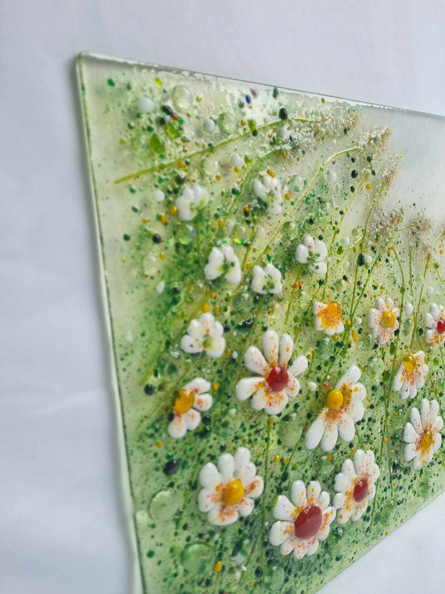 Field of Daisies