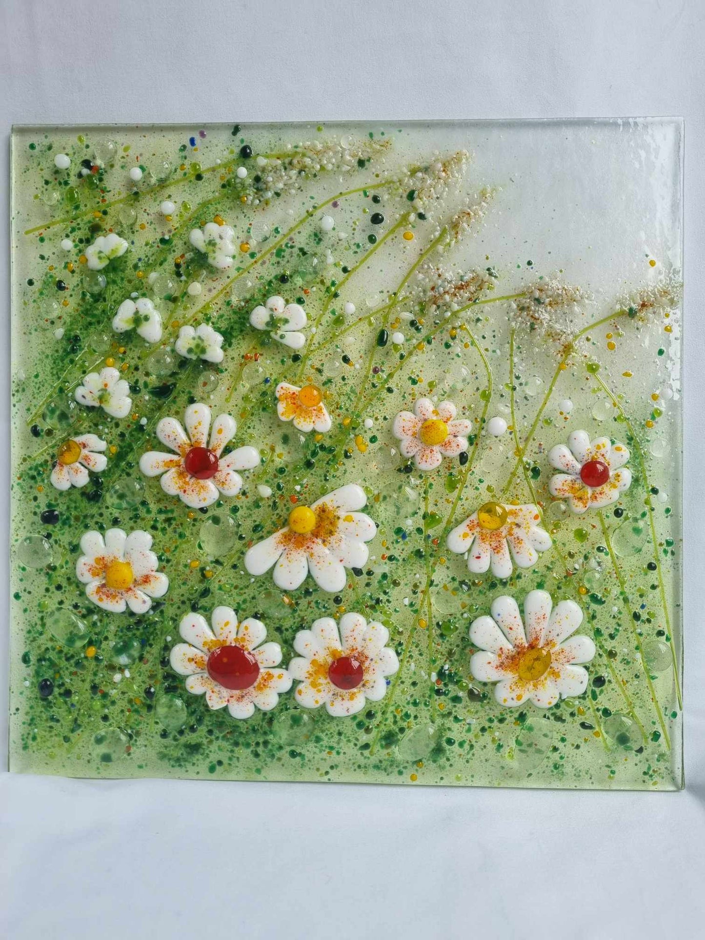 Field of Daisies